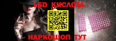 индика Рыбинск