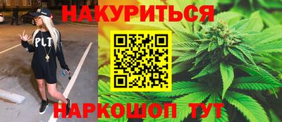 индика Рыбинск
