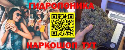 индика Рыбинск