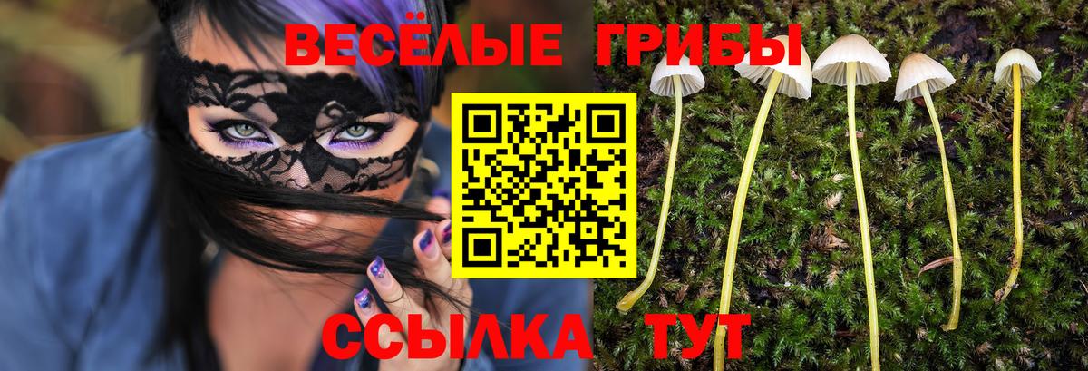 Псилоцибиновые грибы MAGIC MUSHROOMS  где продают наркотики  Сафоново  Вход с VPN 